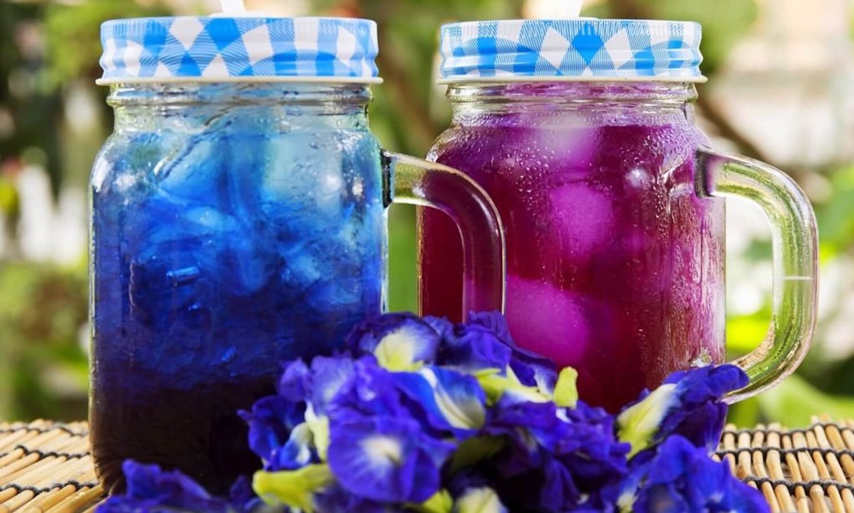 Best Butterfly Pea Flower Tea Best Butterfly Pea Flower Tea