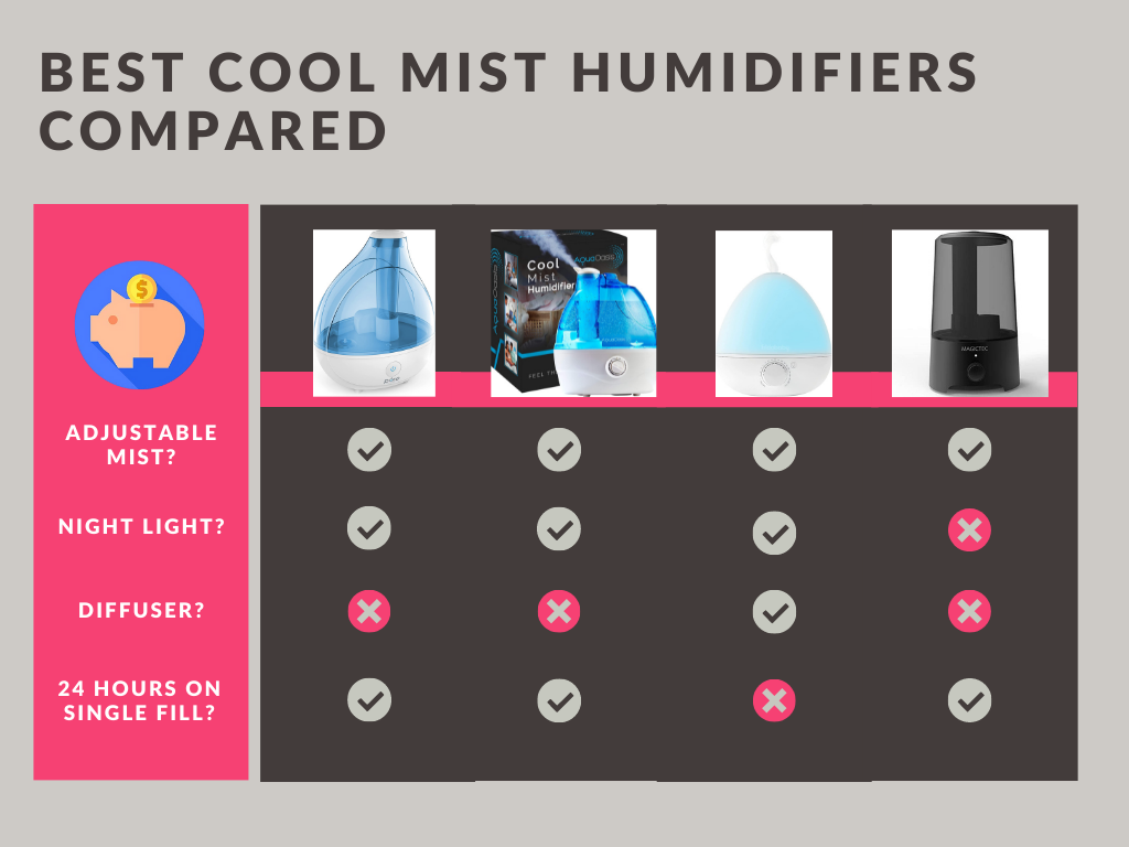 Best Cool Mist Humidifier
