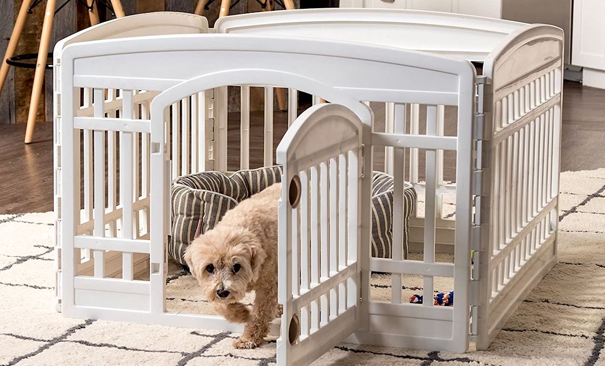 Best Dog Playpen Baby Bargains