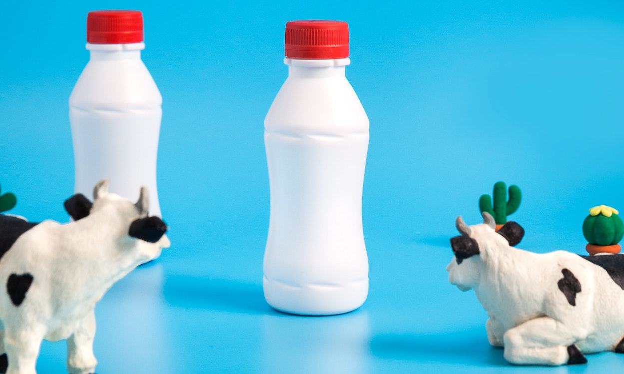 Best LactoseFree Powdered Milk Baby Bargains