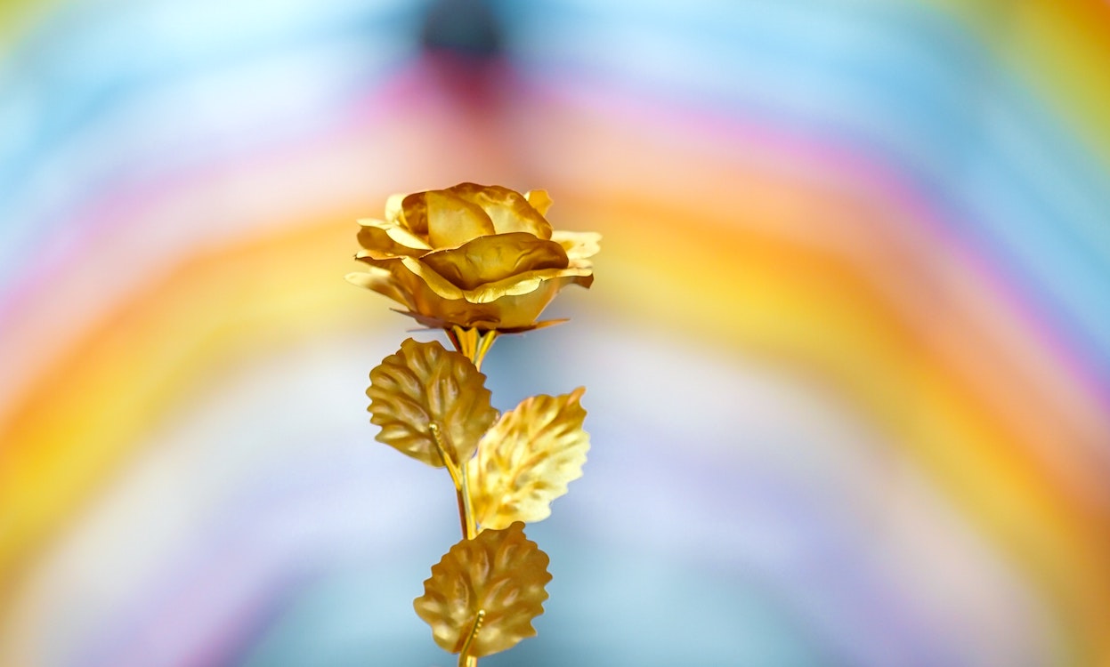 Best Gold Roses Dipped 24K Baby Bargains