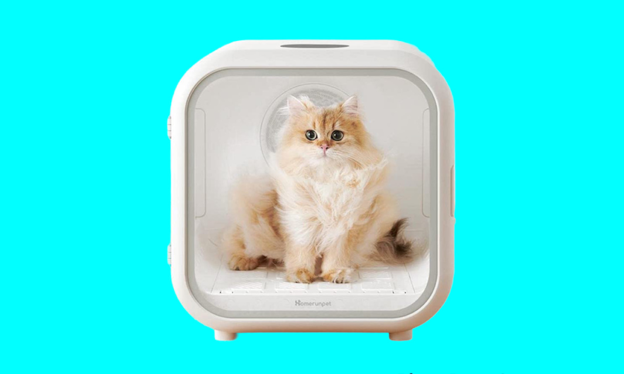 Best Pet Dryer Box Baby Bargains